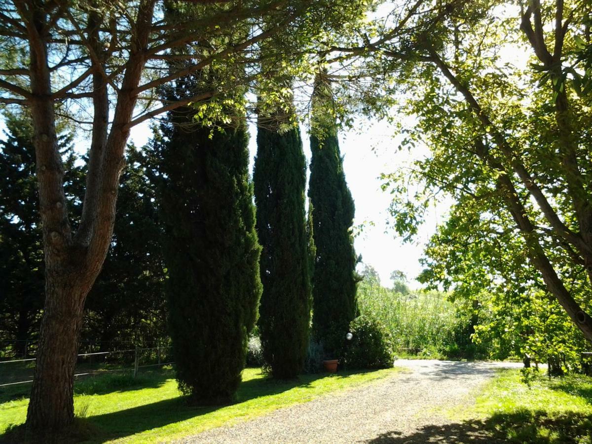 ホテルAgriturismo Piana Arborello マリアーノ・イン・トスカーナ エクステリア 写真
