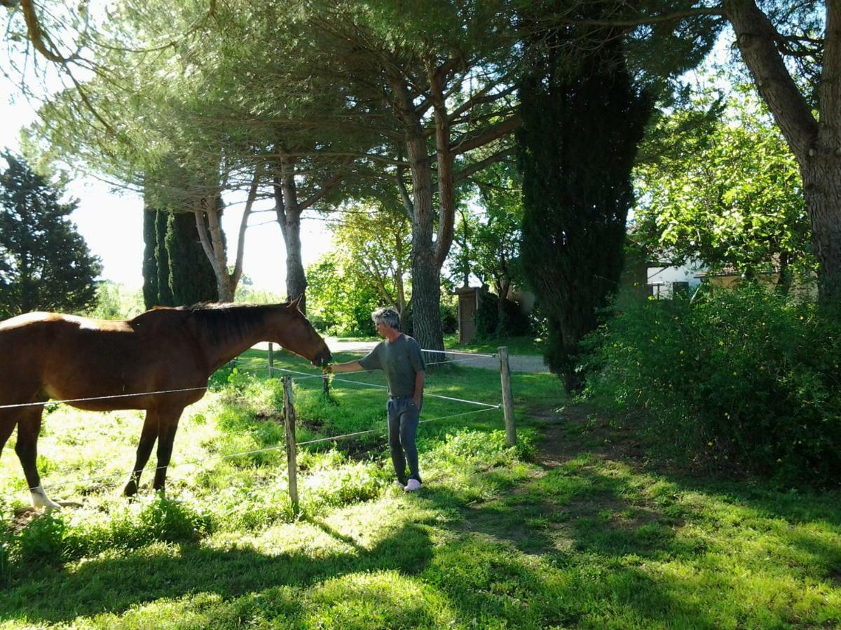 ホテルAgriturismo Piana Arborello マリアーノ・イン・トスカーナ エクステリア 写真