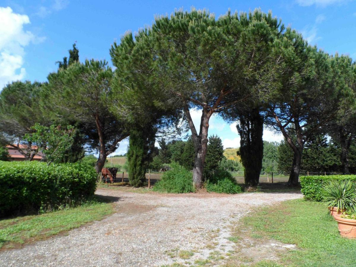 ホテルAgriturismo Piana Arborello マリアーノ・イン・トスカーナ エクステリア 写真