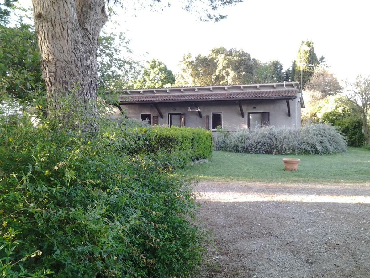 ホテルAgriturismo Piana Arborello マリアーノ・イン・トスカーナ エクステリア 写真