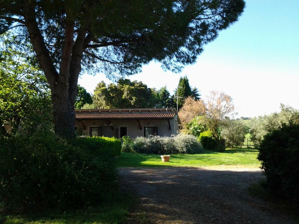 ホテルAgriturismo Piana Arborello マリアーノ・イン・トスカーナ エクステリア 写真