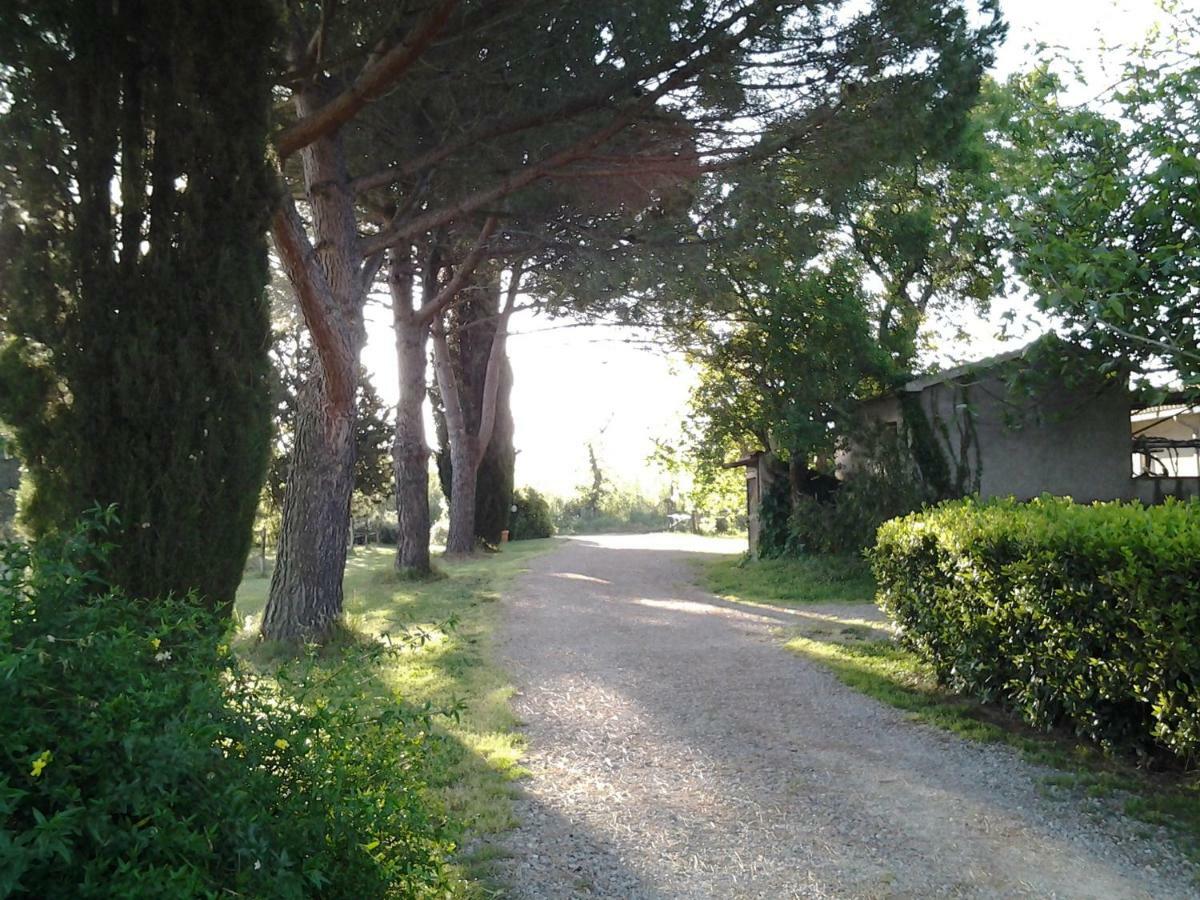 ホテルAgriturismo Piana Arborello マリアーノ・イン・トスカーナ エクステリア 写真