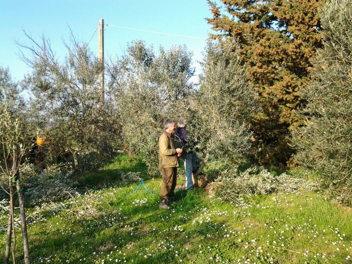 ホテルAgriturismo Piana Arborello マリアーノ・イン・トスカーナ エクステリア 写真